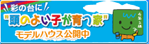 ���̂悢�q�����